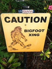 BigFoot